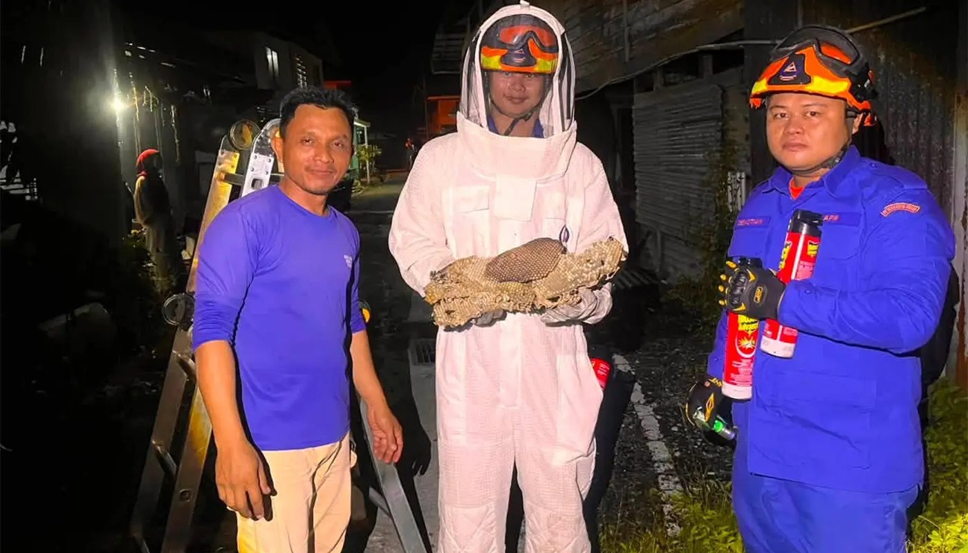 Sarawak, Sarawak News, Betong, Betong News, APM Betong, Civil Defence, Wasp Nest Removal, Public Safety, Emergency Response