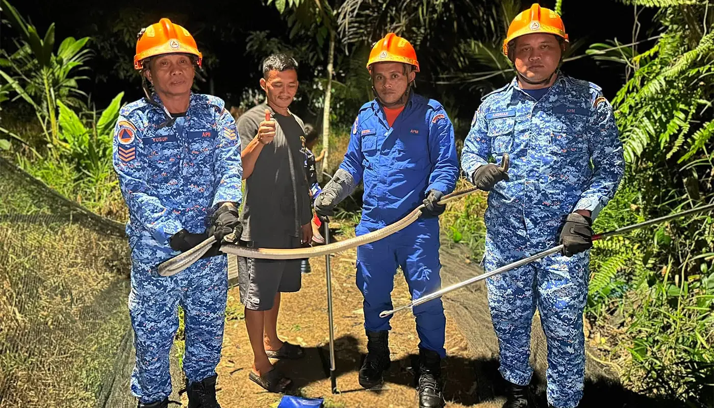 APM Debak Rescues Rat Cobra Safely from Residential Net 1 Sarawak, Sarawak News, Debak, Debak News, Civil Defence, Wildlife Rescue, Public Safety