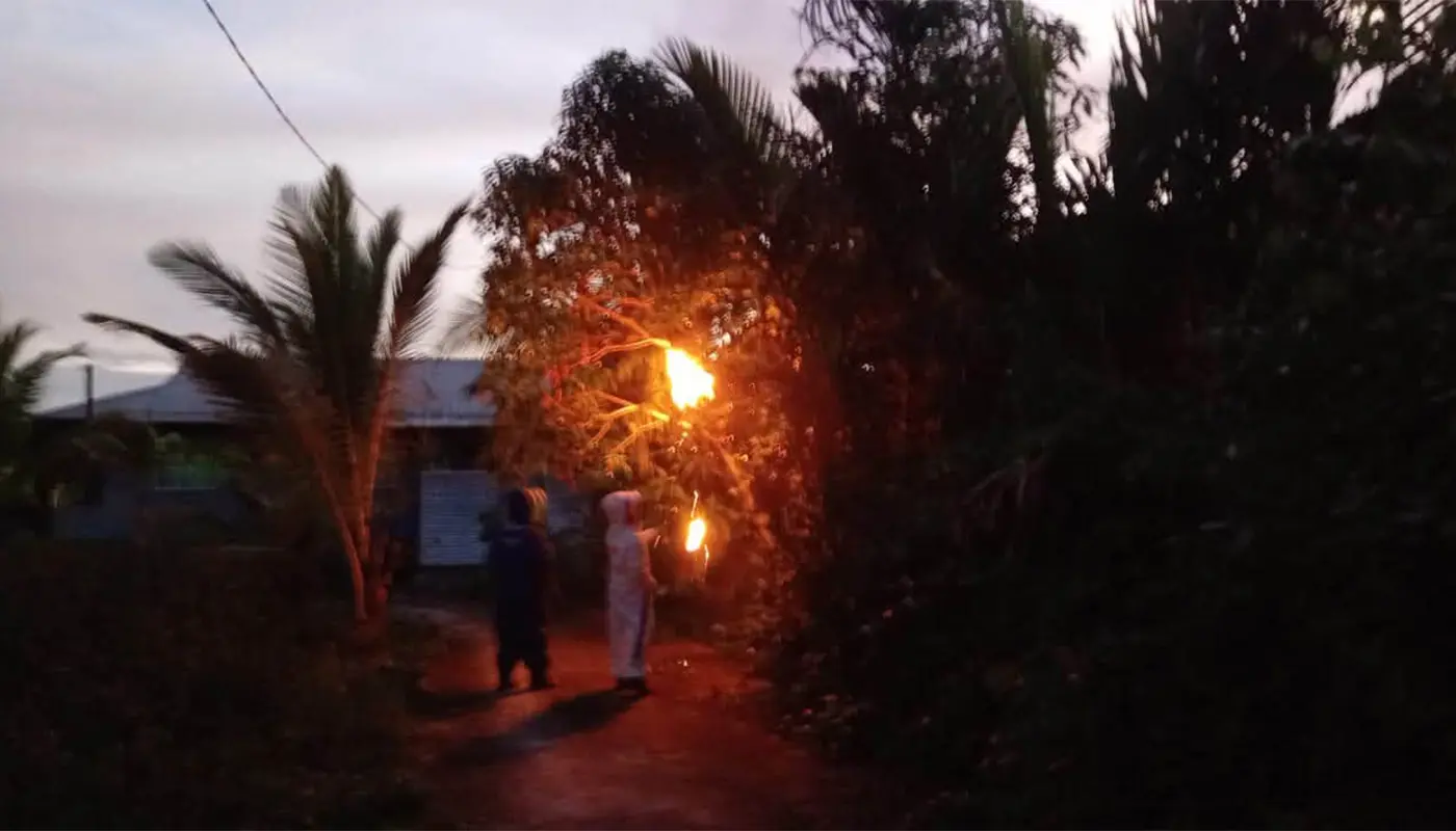 APM Debak Safely Removes Bee Nest Threatening Local Residents 1 Sarawak, Sarawak News, Debak, Debak News, Civil Defence, Public Safety, Wildlife Control