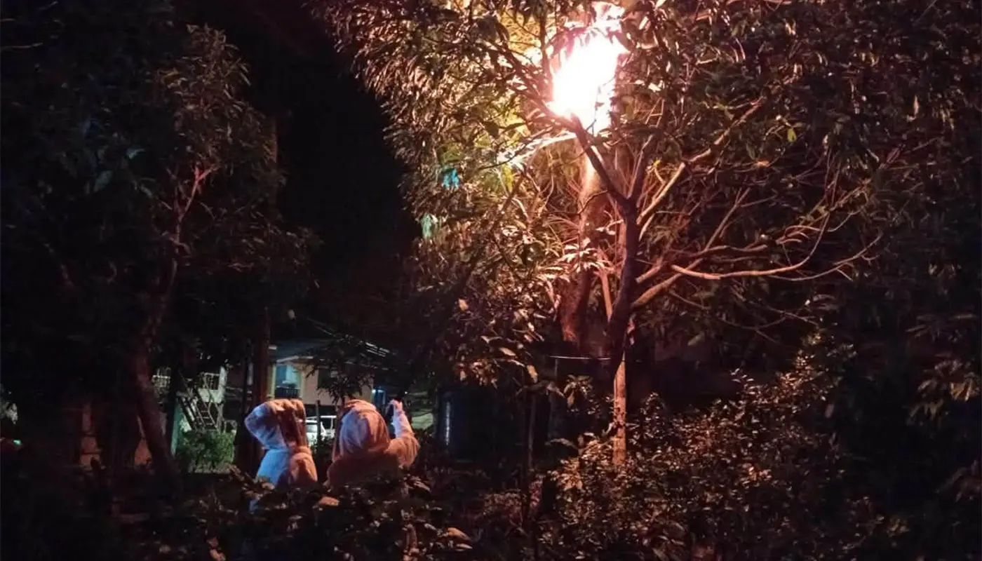 Sarawak, Sarawak News, Debak, Debak News, Public Safety, Emergency Response, Insect Nest Removal
