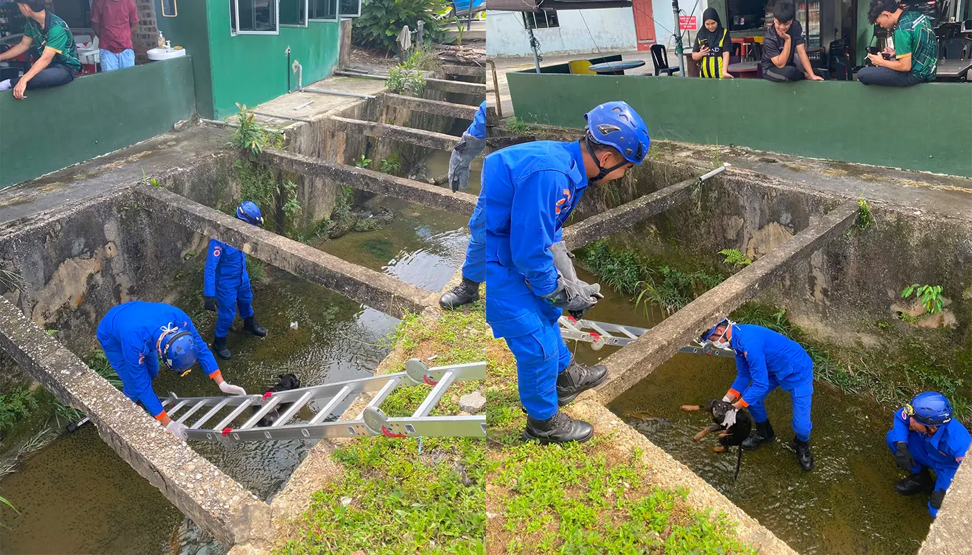 Sarawak, Sarawak News, Limbang, Limbang News, Wildlife Rescue, Emergency Response, Public Safety