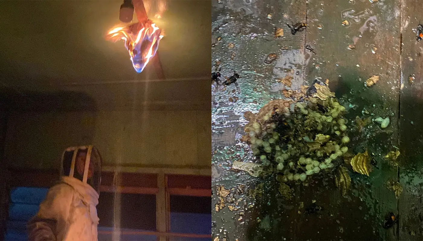 APM Mukah Removes Wasp Nest from Bedroom Ceiling Safely 1 Sarawak, Sarawak News, Mukah, Mukah News, Wasp Nest, Insect Control, Emergency Response, Civil Defence Force