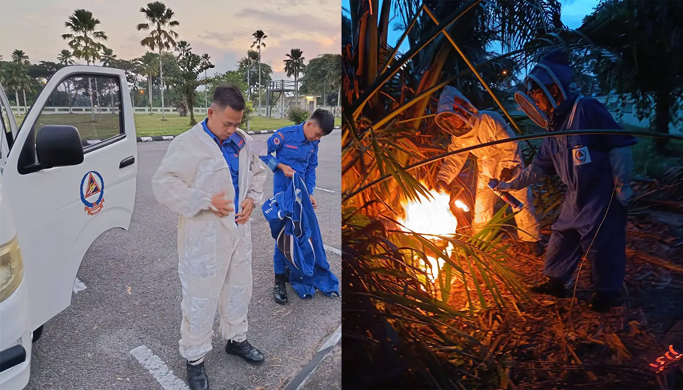 APM Mukah Safely Removes Wasp Nest from Rumbia Tree 1 Sarawak, Sarawak News, Mukah, Mukah News, Emergency Response, Insect Control, Public Safety