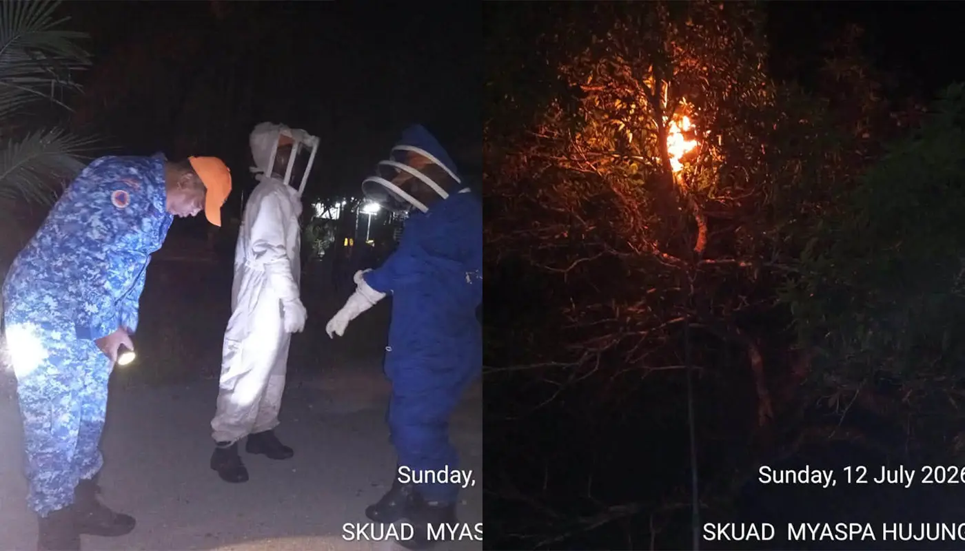 APM Responds to Bee Nest Emergency in Sematan 1 Sarawak, Sarawak News, Sematan, Sematan News, Civil Defence, Emergency Response, Public Safety, Insect Nest