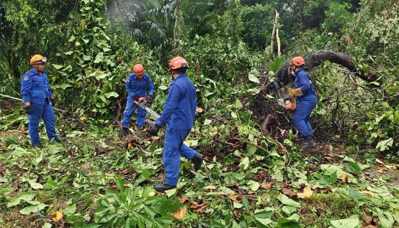 APM Saratok Clears Fallen Tree Blocking Jalan Semurin 1 Sarawak, Sarawak News, Saratok, Saratok News, Civil Defence, Fallen Tree, Public Safety, Emergency Response