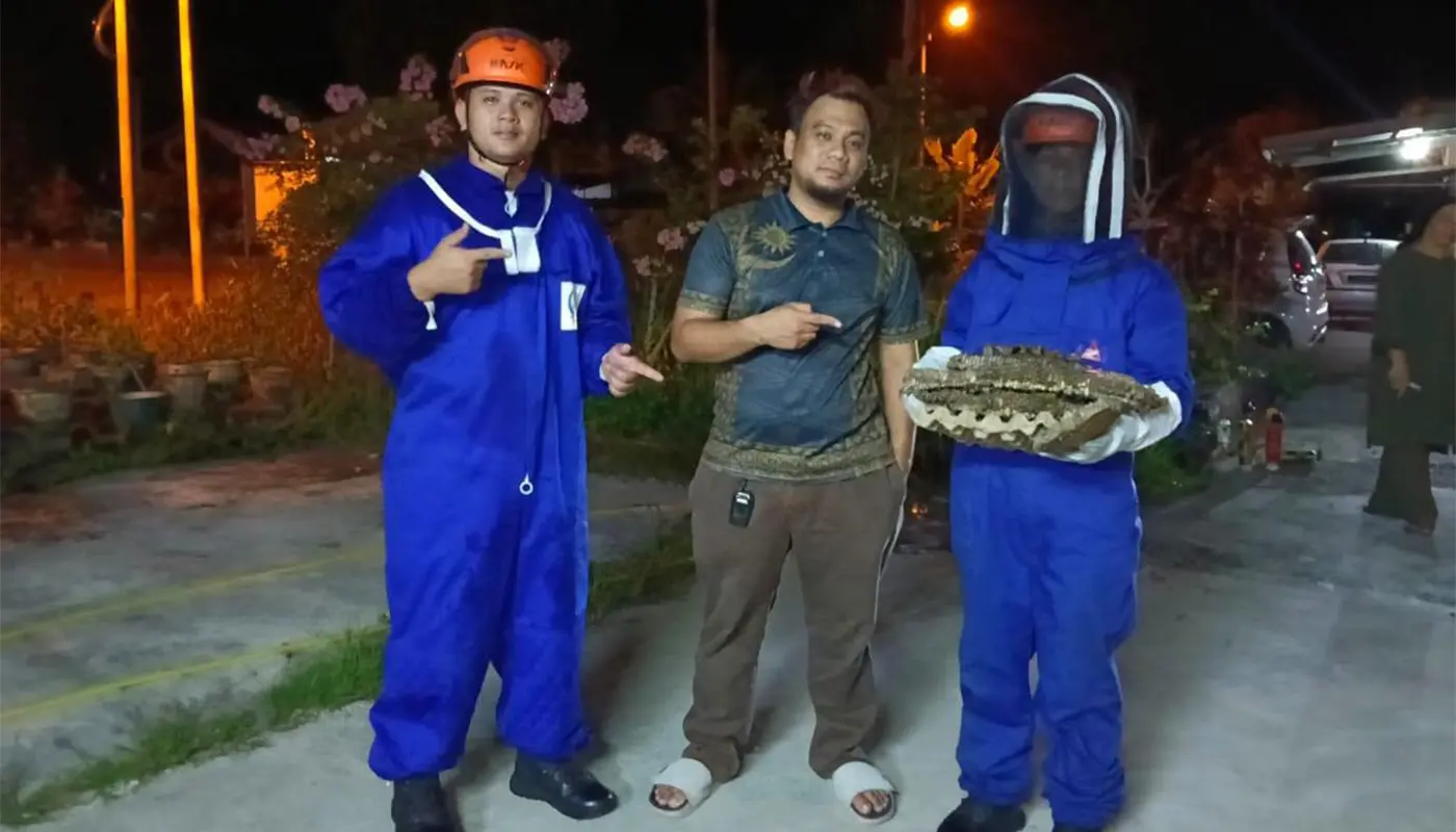 APM Saratok Removes Dangerous Ground Wasp Nest in Village 1 Sarawak, Sarawak News, Saratok, Saratok News, APM, Civil Defence, Public Safety, Pest Control, Kampung Sessang, Community Service