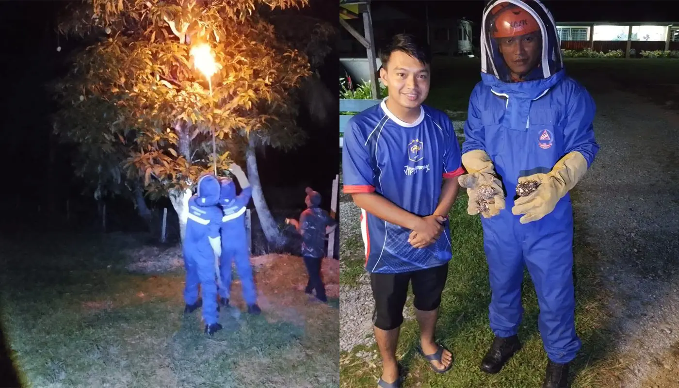 Sarawak, Sarawak News, Saratok, Saratok News, School Safety, Emergency Response, Insect Control