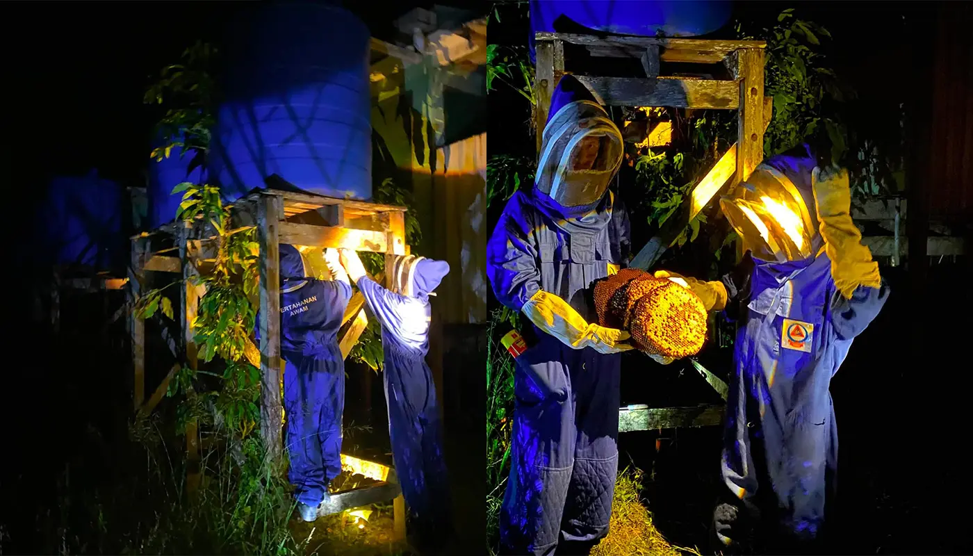 APM Selangau Destroys Large Wasp Nest at SK St. Mark 1 Sarawak, Sarawak News, Selangau, Selangau News, School Safety, Emergency Response, Insect Control