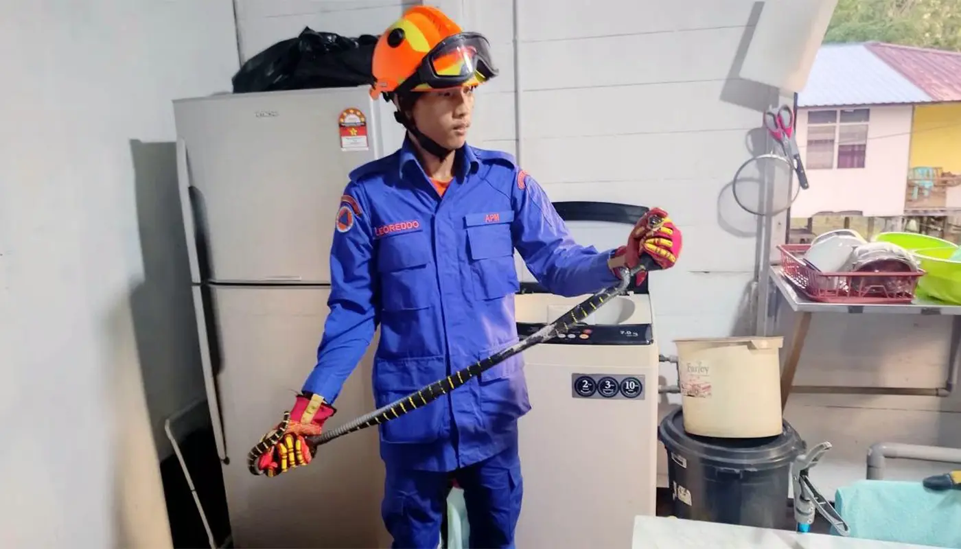 Sarawak, Sarawak News, Sibu, Sibu News, APM, Snake Rescue, Home Safety, Emergency Response
