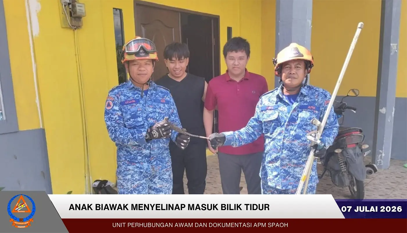 Sarawak, Sarawak News, Spaoh, Spaoh News, Wildlife Incident, Civil Defence, Public Safety, Emergency Response