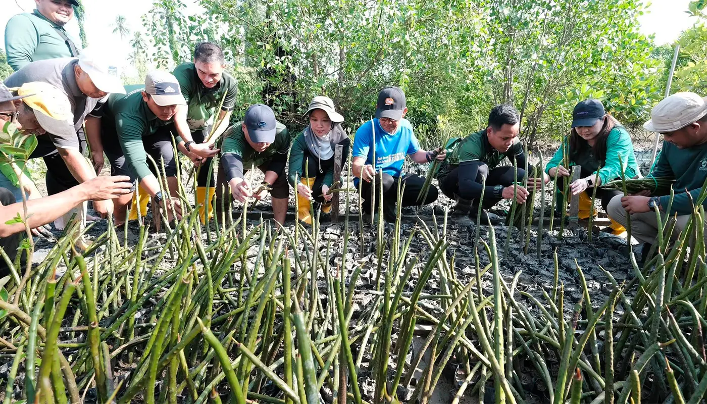 Community Joins Mangrove Nursery Effort in Kampung Buntal 1 Sarawak, Sarawak News, Kuching, Kuching News, Environment, Mangrove, Community Programme, Forest Conservation