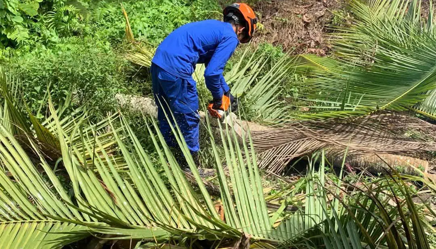 Emergency Response by APM in Sematan After Coconut Tree Falls on Water Tank 1 Sarawak, Sarawak News, Sematan, Sematan News, emergency response, civil defence, APM Lundu Sematan, public safety, coconut tree incident