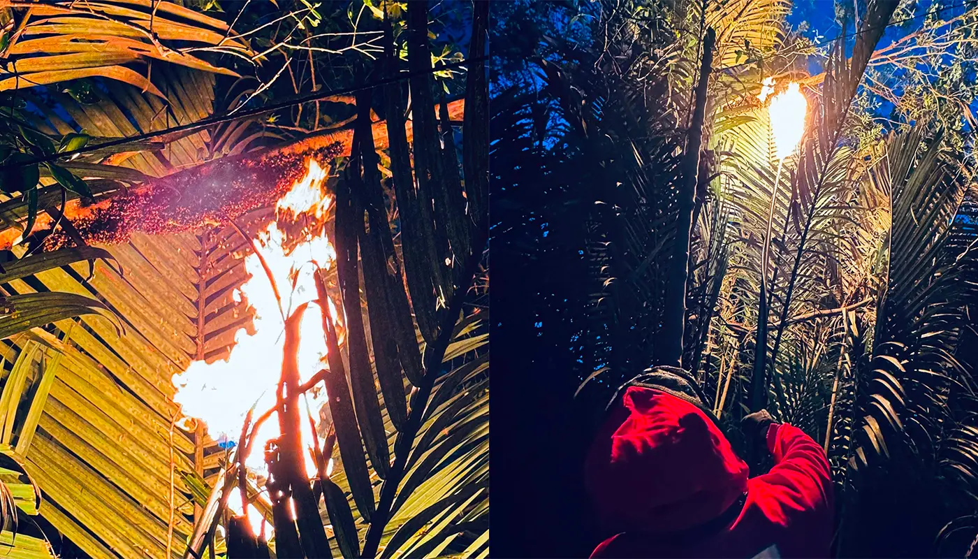 Firefighters Remove Hazardous Beehive in Lundu Village 1 Sarawak, Sarawak News, Lundu, Lundu News, Public Safety, Emergency Response, Insect Nest Removal