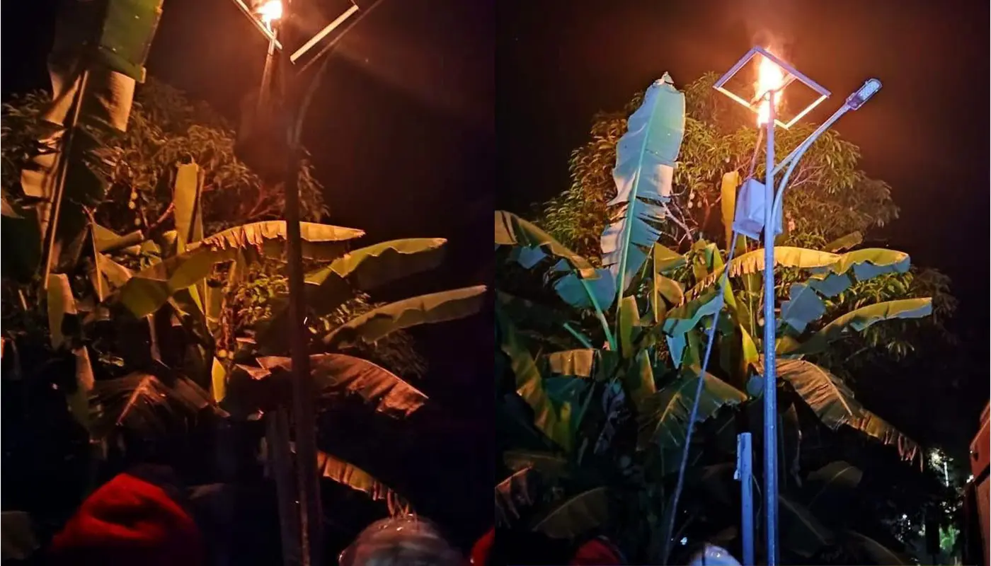 Sarawak, Sarawak News, Asajaya, Asajaya News, fire and rescue, wasp nest removal, community safety, emergency response
