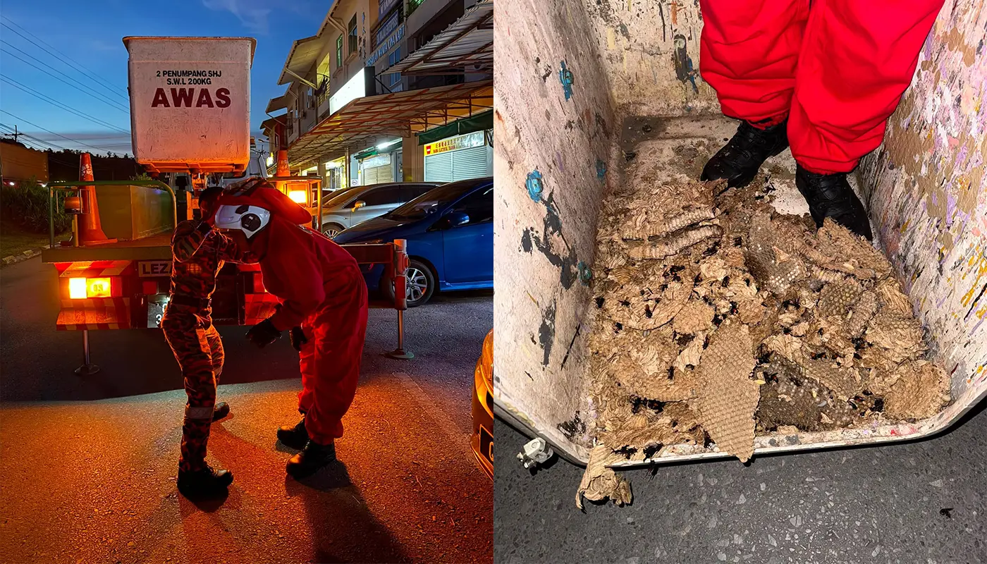 Firefighters Remove Wasp Nest at Kapit Bakery 1 Sarawak, Sarawak News, Kapit, Kapit News, Fire and Rescue, Public Safety, Emergency Response, Insect Control