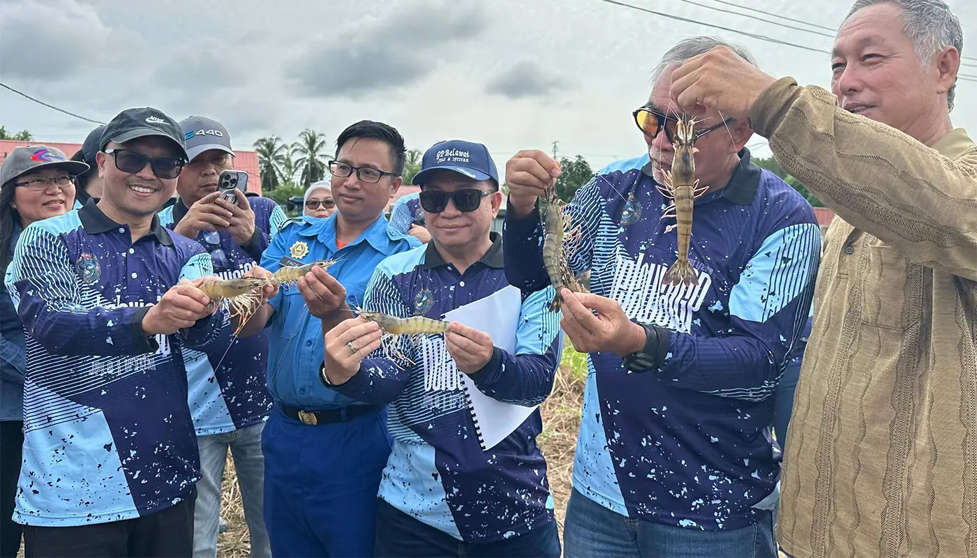 Len Talif Salleh Inspects Selumit Prawn Farm Output 1 Sarawak, Sarawak News, Selumit, Selumit News, Kuala Rajang, Aquaculture, Len Talif Salleh, Fisheries, Agriculture, Economy