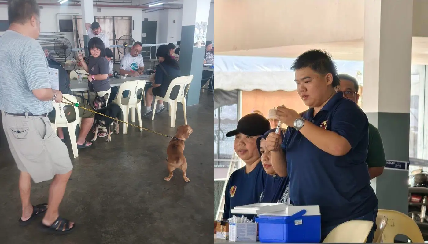MBKS Holds Successful Mass Anti-Rabies Vaccination and Dog Licensing 1 Sarawak, Sarawak News, Kuching, Kuching News, MBKS, Rabies-Free Sarawak, Dog Licensing, Microchipping, Neutering Programme, Veterinary Services