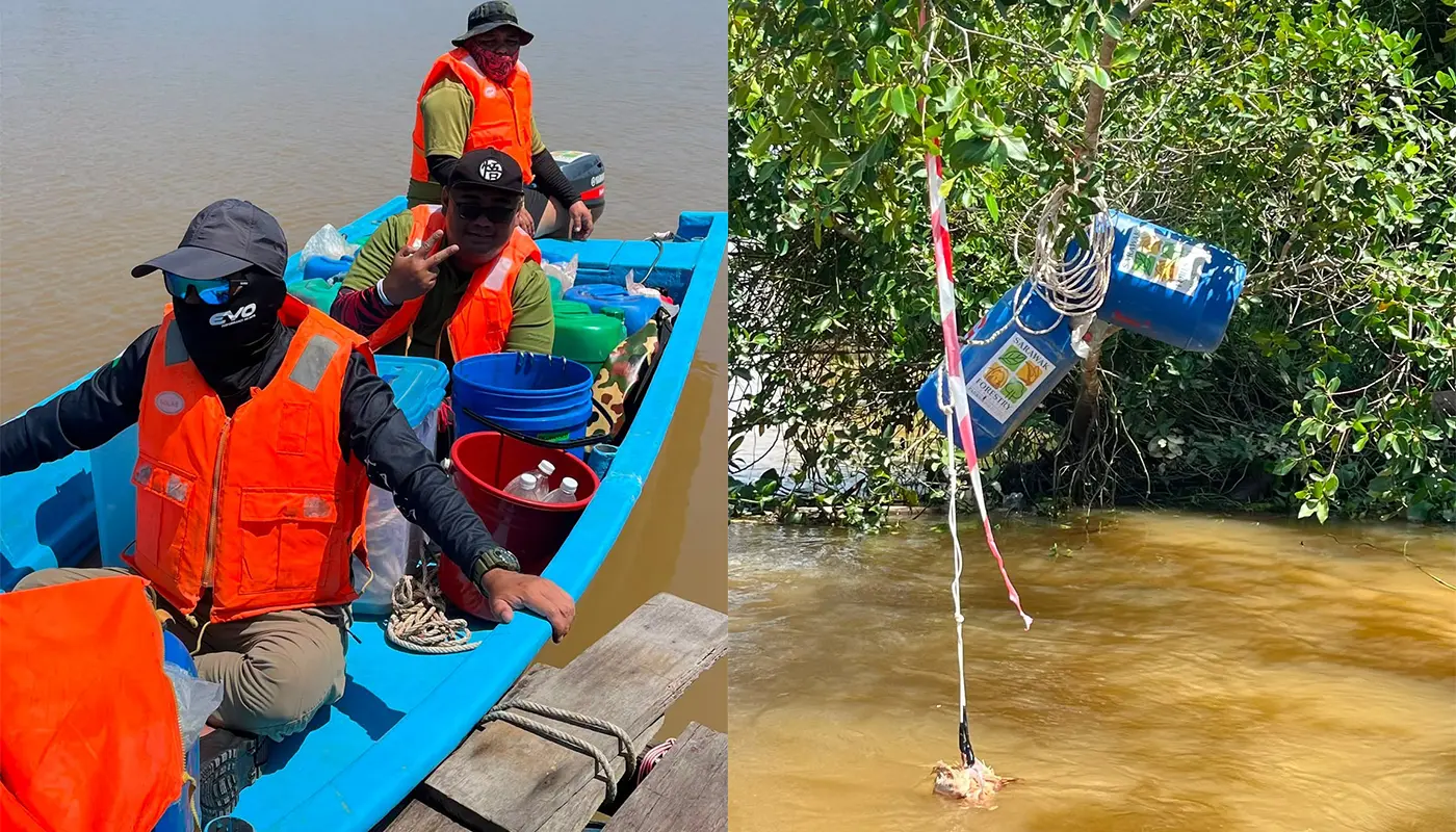 Sarawak, Sarawak News, Sibu, Sibu News, Sarawak Forestry Corporation, Wildlife Management, Public Safety, Batang Igan, Human-Wildlife Conflict