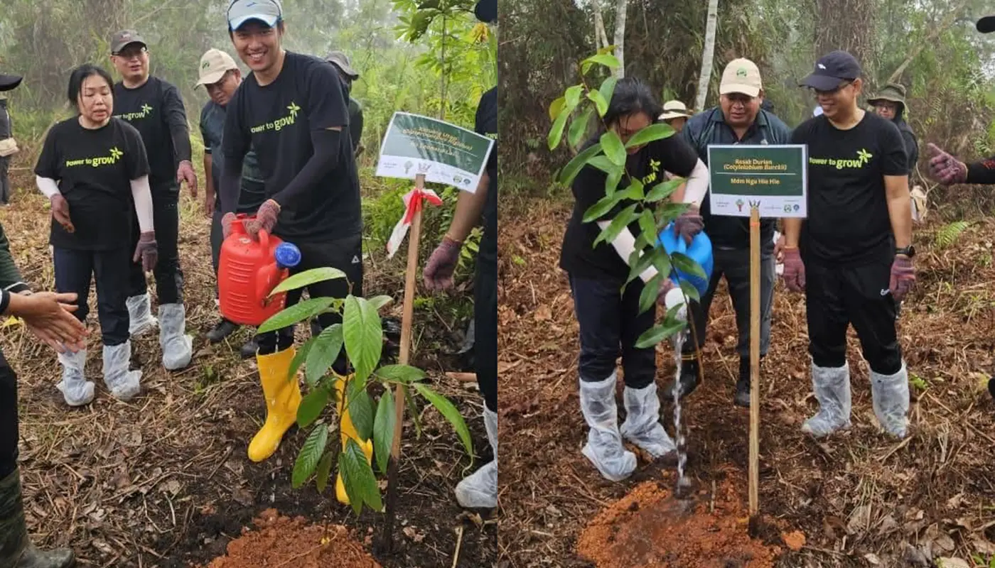 Sarawak Energy Berhad And Forest Department Plant 1,000 Trees in Sibu 1 Sarawak, Sarawak News, Sibu, Sibu News, Sarawak Energy, Environment, Sustainability, Forestry, Community Service, Green Initiative