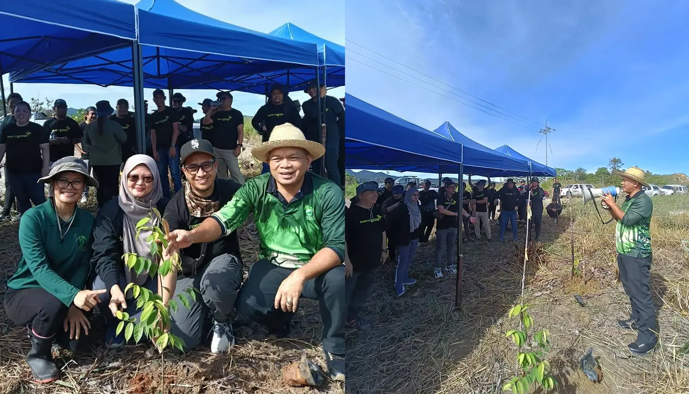 Sarawak Energy Joins Tree Planting Effort at Bakam Reserve 1 Sarawak, Sarawak News, Miri, Miri News, Sarawak Energy, Tree Planting, Forest Reserve, Environmental Conservation, Bakam