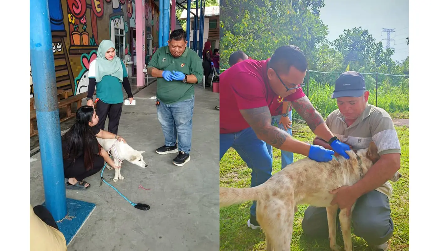 Selangau Anti-Rabies Programme Vaccinates 53 Dogs, Boosts Licensing Efforts 1 Sarawak, Sarawak News, Selangau, Selangau News, Sibu Rural District Council, Rabies Prevention, Public Health, Animal Welfare, Dog Licensing