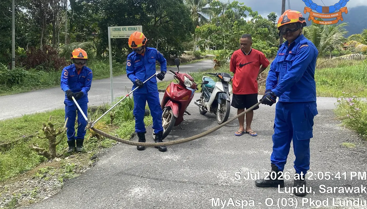 Sarawak, Sarawak News, Lundu, Lundu News, Telok Melano, Snake Catching, Emergency Response, APM Sematan