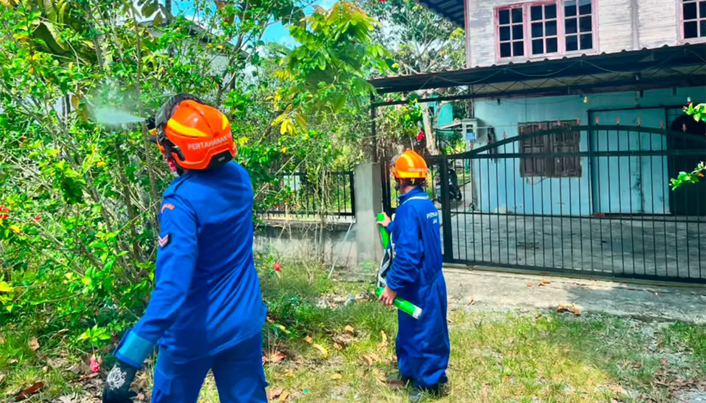 Sarawak, Sarawak News, Sri Aman, Sri Aman News, Civil Defence, Public Safety, Emergency Response, Insect Nest Removal