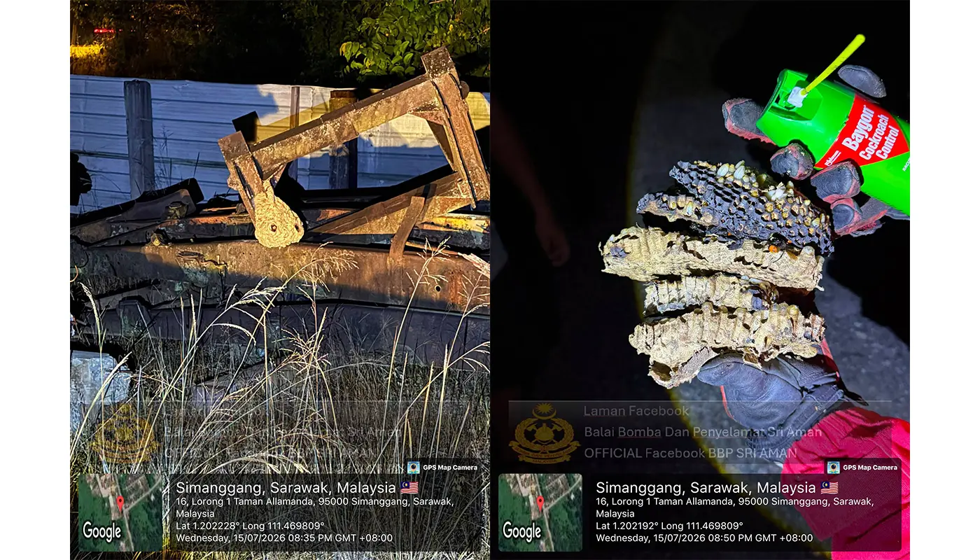 Sarawak, Sarawak News, Sri Aman, Sri Aman News, Fire and Rescue, Public Safety, Insect Nest Removal