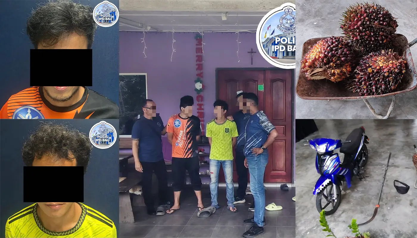Sarawak, Sarawak News, Bau, Bau News, Crime, Oil Palm Theft, Police Action, Community Safety