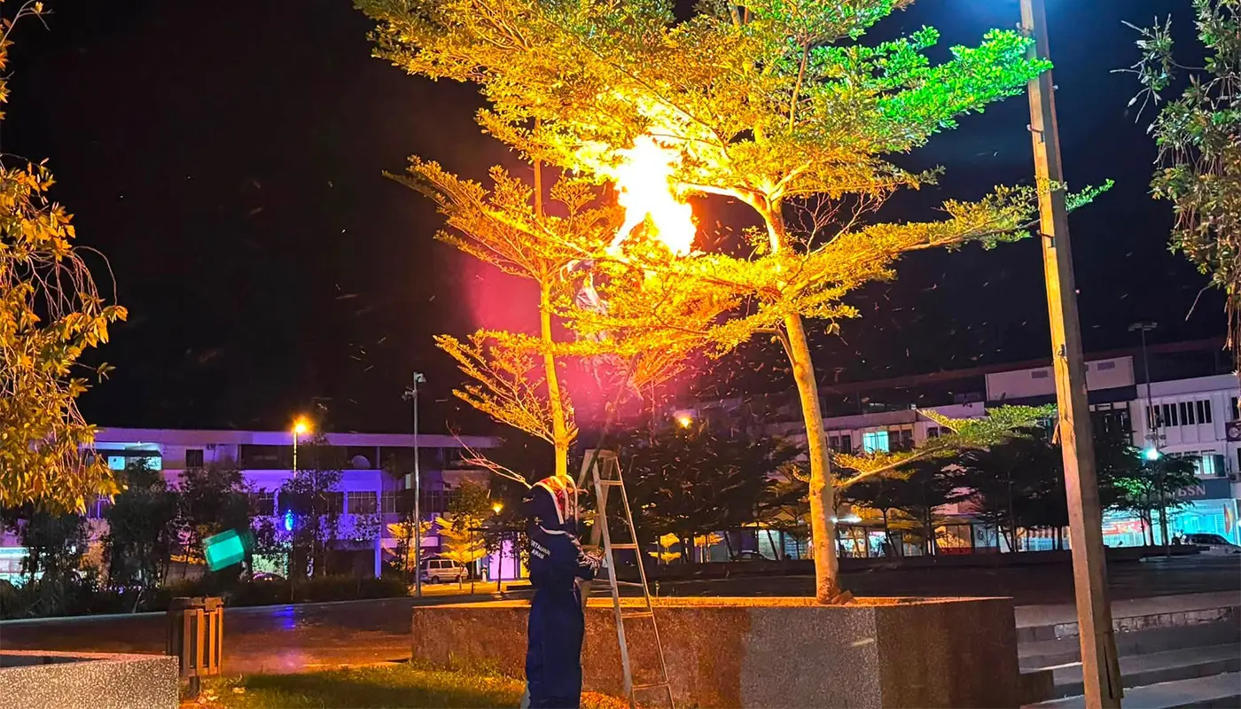 Sarawak, Sarawak News, Marudi, Marudi News, APM, Insect Nest Removal, Honey Bee, Public Safety, Emergency Response, Wildlife Management