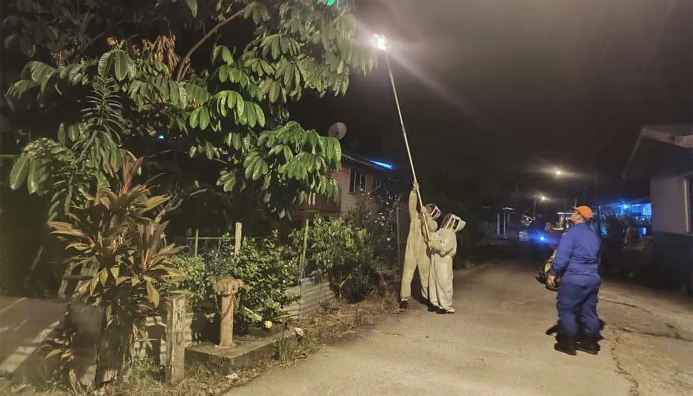 APM Sarikei Removes Insect Nest at Kampung Hilir Selalang 1 APM Sarikei, Sarawak, Sarawak News, Sarikei, Sarikei News, Civil Defence, APM, MyASPA, Public Safety, Wildlife Control, Community Service