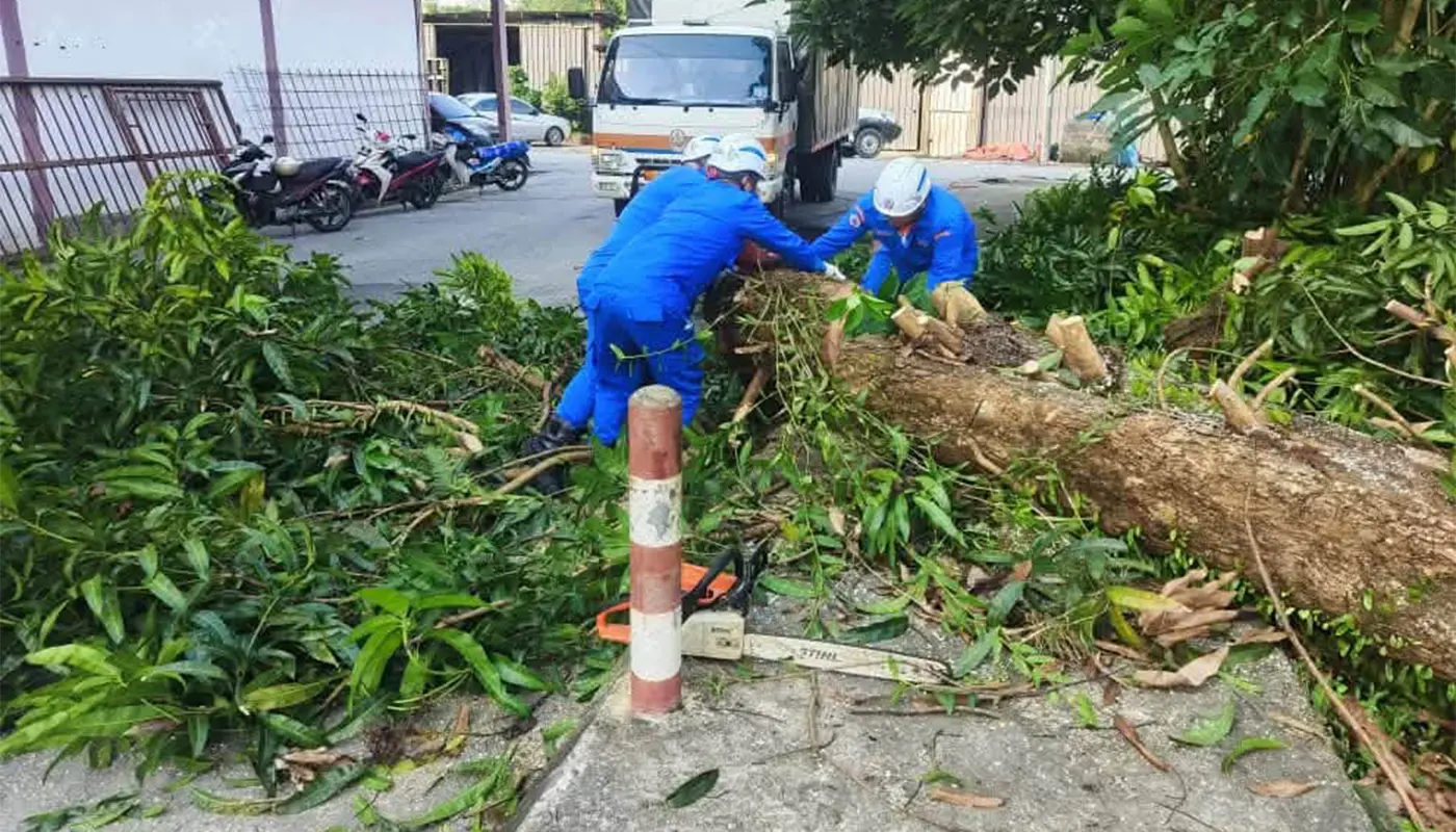 APM Selangau Clears Fallen Tree Blocking Road in Stapang 1 Sarawak, Sarawak News, Selangau, Selangau News, Stapang, APM, Fallen Tree, Emergency Response, Public Safety, Road Clearance