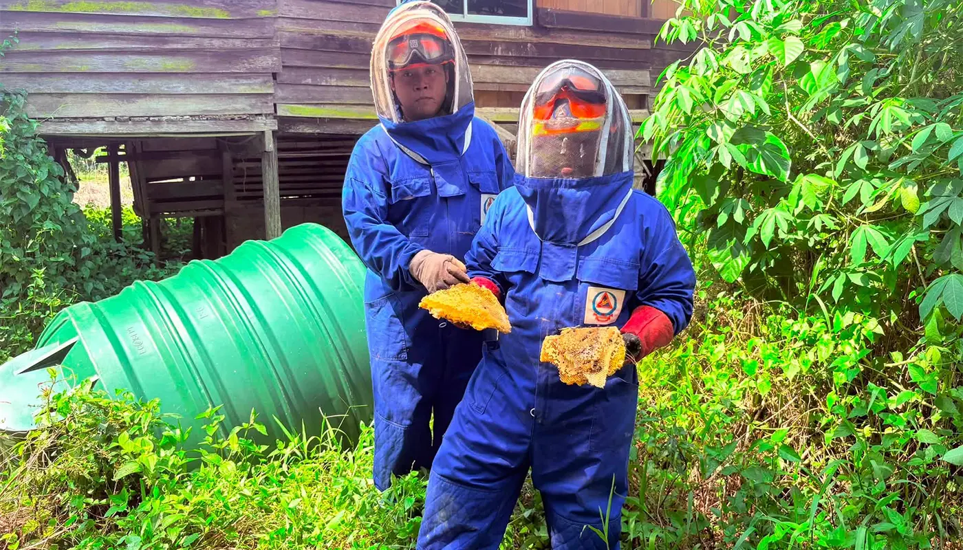 APM Selangau Removes Honey Bee Nest From Longhouse Wall 1 Sarawak, Sarawak News, Selangau, Selangau News, APM, Public Safety, Longhouse, Emergency Response, Community Assistance
