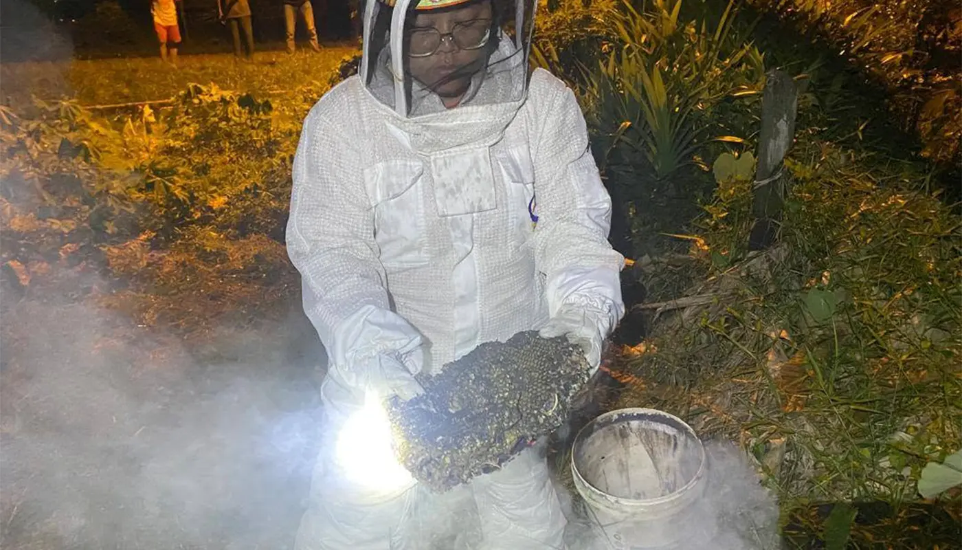 APM Tanjung Manis, Sarawak, Sarawak News, Tanjung Manis, Tanjung Manis News, APM, Wasp Nest Removal, Public Safety, Emergency Response, Community Alert