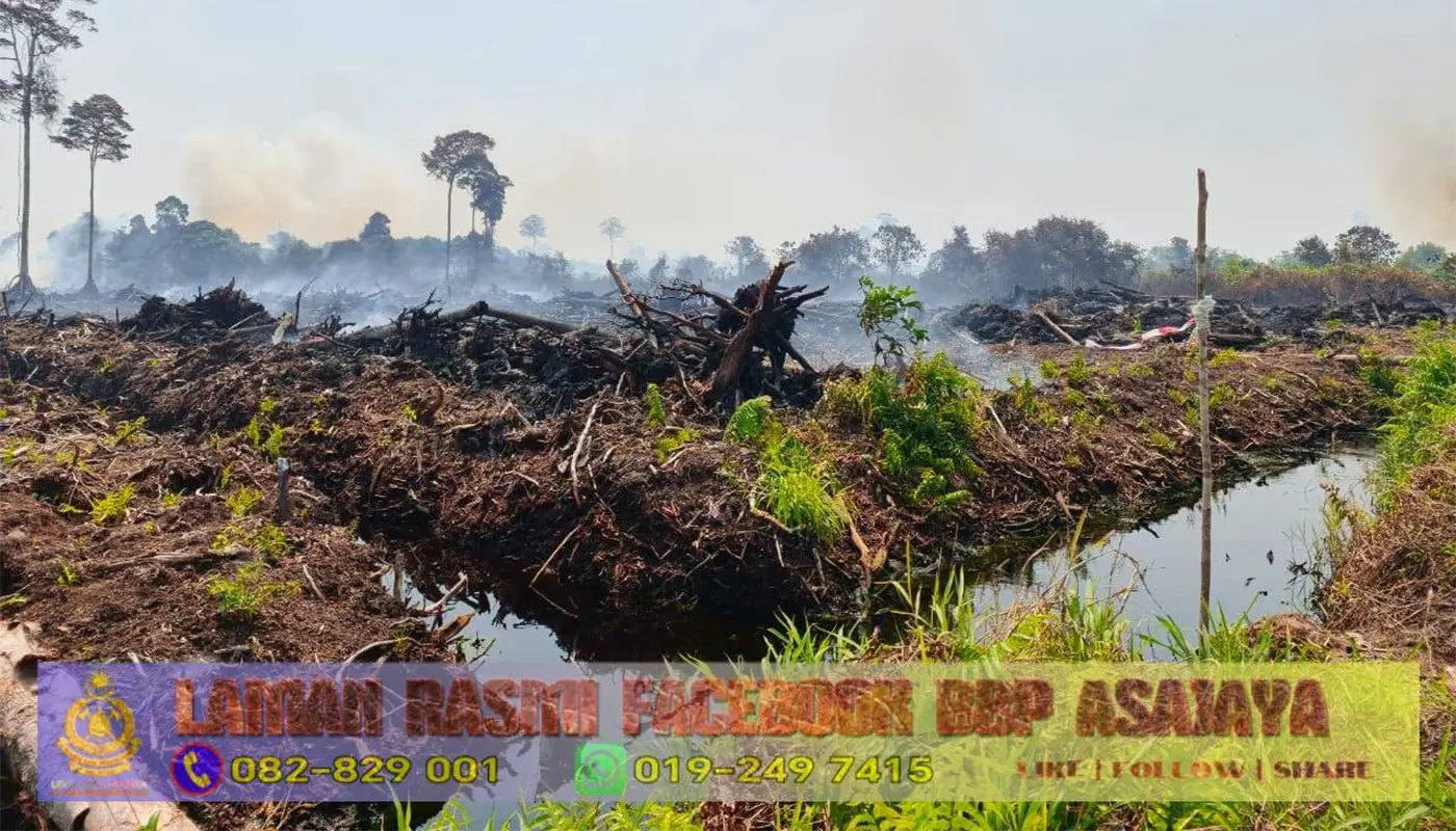 Asajaya Brush Fire: BOMBA Extinguish 2-Acre Fire in Kampung Moyan Ulu 1 Sarawak, Sarawak News, Asajaya, Asajaya News, Bush Fire, Fire and Rescue Department