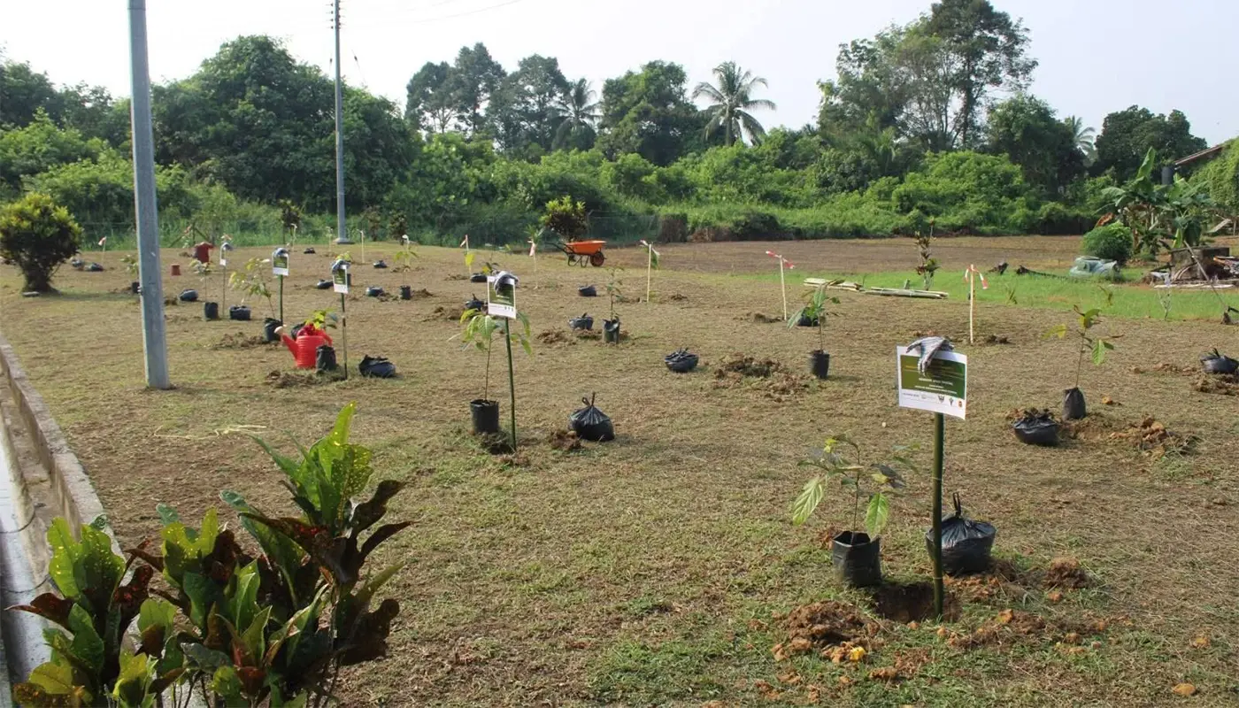 CEPA Programme and Tree Planting Activity Held at SK Gran Stumbin 1 Sarawak, Sarawak News, Sri Aman, Sri Aman News, Gran Stumbin, SK Gran Stumbin, CEPA Programme, Tree Planting, Forest Awareness, Environmental Education, Sarawak Forestry