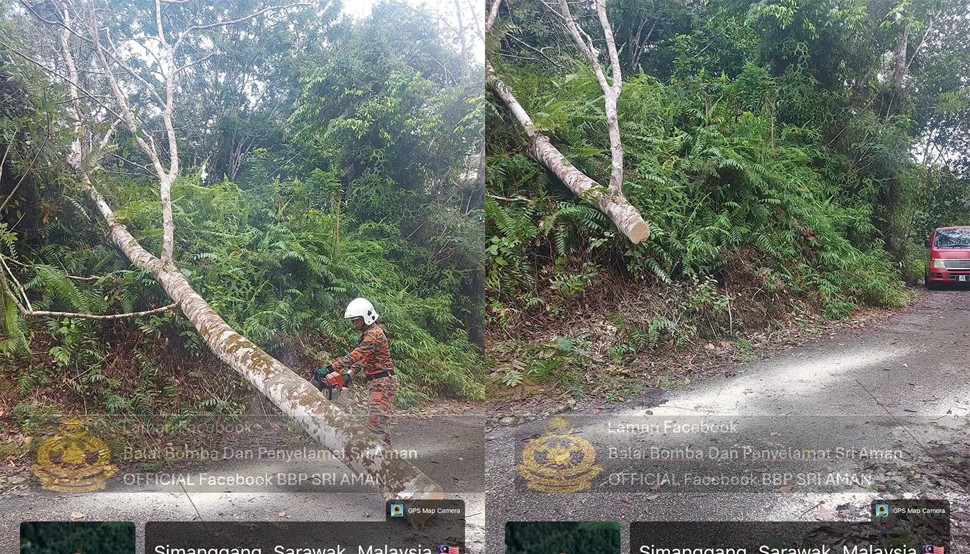 Firefighters Clear Fallen Tree Blocking Kedang Road in Sri Aman 1 Sarawak, Sarawak News, Sri Aman, Sri Aman News, BBP Sri Aman, Road Safety, Emergency Response, Public Service, Infrastructure