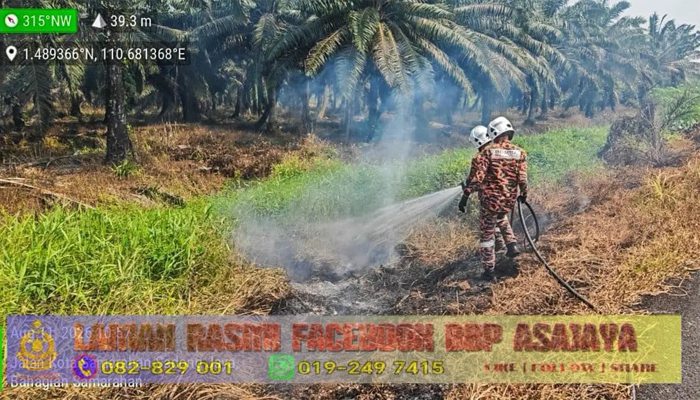 Sarawak, Sarawak News, Asajaya, Asajaya News, Sadong Jaya, Grass Fire, Fire and Rescue Department
