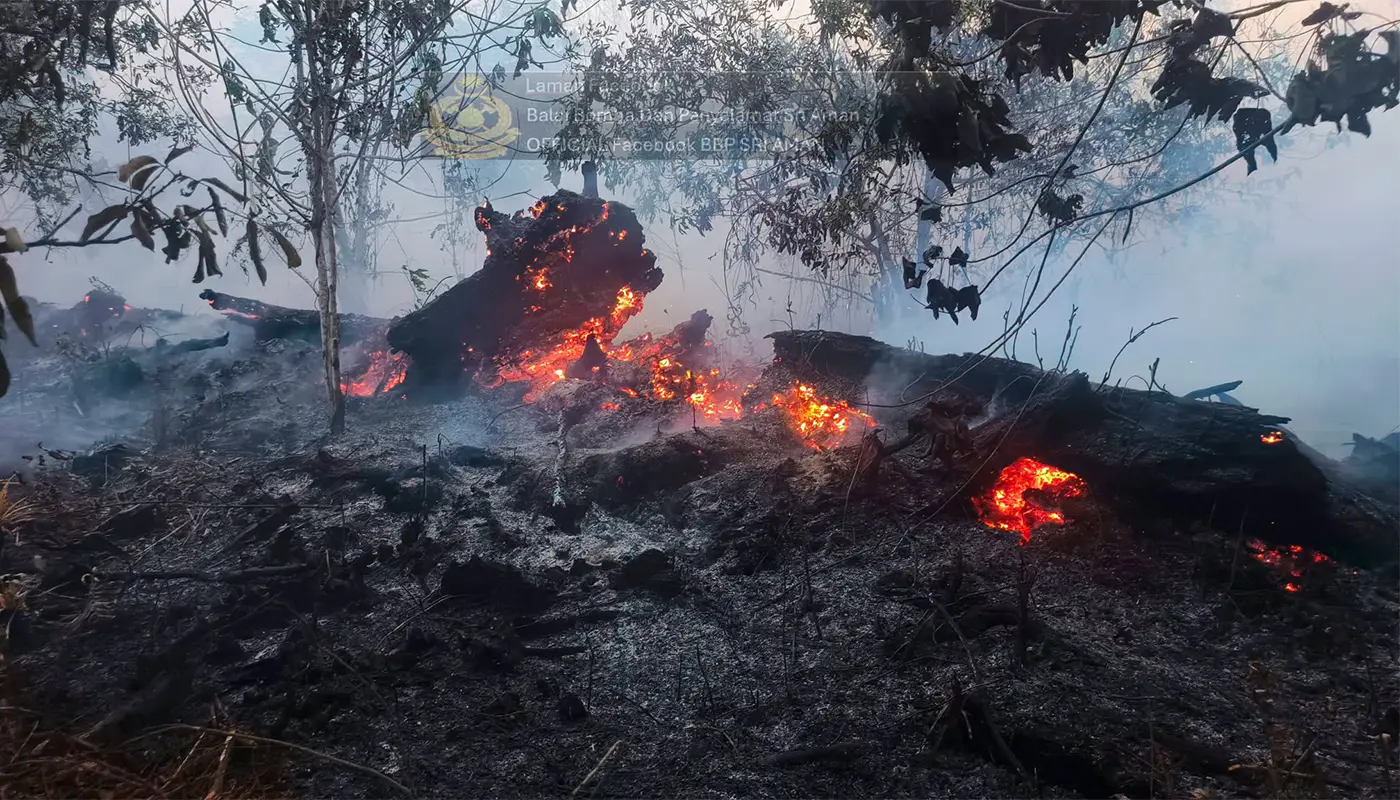 Four-Acre Bush Fire Contained in Tabarok, Sri Aman 1 Sarawak, Sarawak News, Sri Aman, Sri Aman News, Tabarok, Tabarok News, Bush Fire, Fire and Rescue, JBALB, Firefighting, Emergency Response