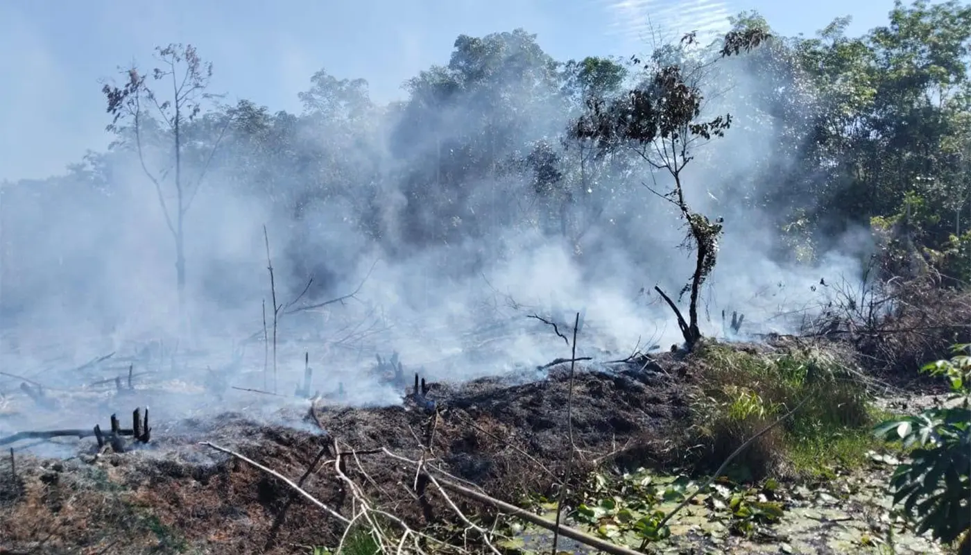 Limbang Forest Fire: Crews Battle Fire Across 5-Acre Area 1 Sarawak, Sarawak News, Limbang, Limbang News, Peat Fire, Kampung Bangkuati, JBPM Sarawak