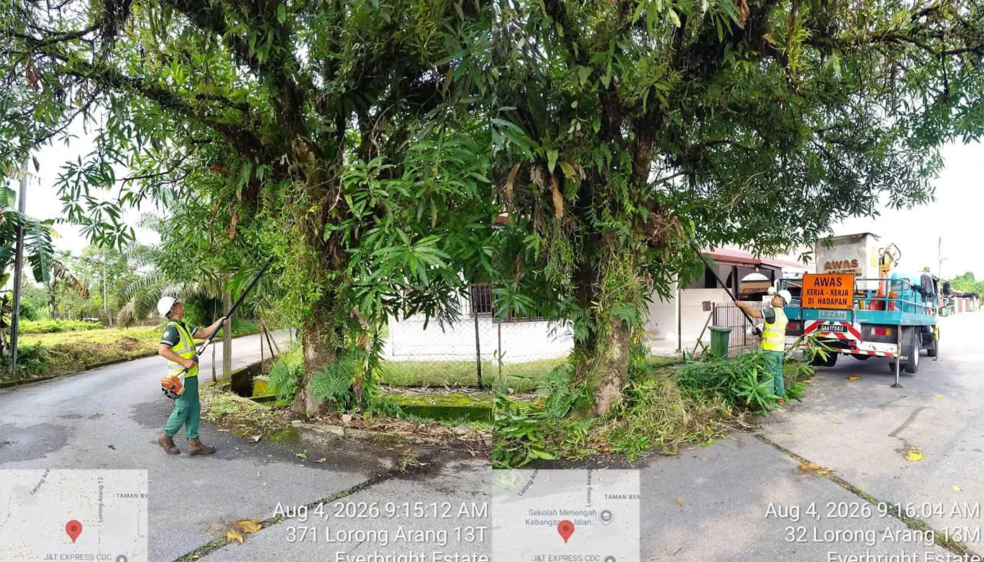 Sarawak, Sarawak News, Padawan, Padawan News, MPP, Tree Trimming, Public Safety, Landscaping, Urban Greenery, Municipal Council