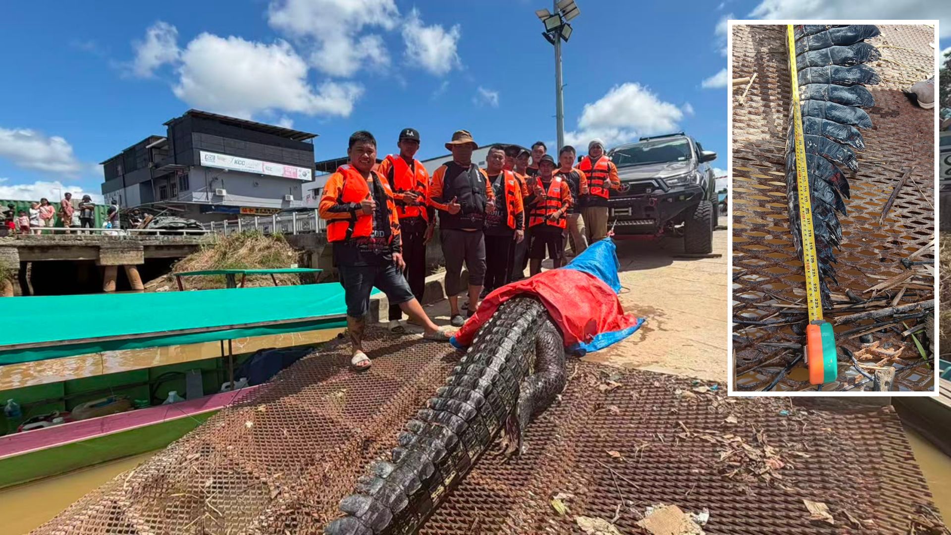 Massive 18.7-Foot Crocodile Captured in Marudi River Operation