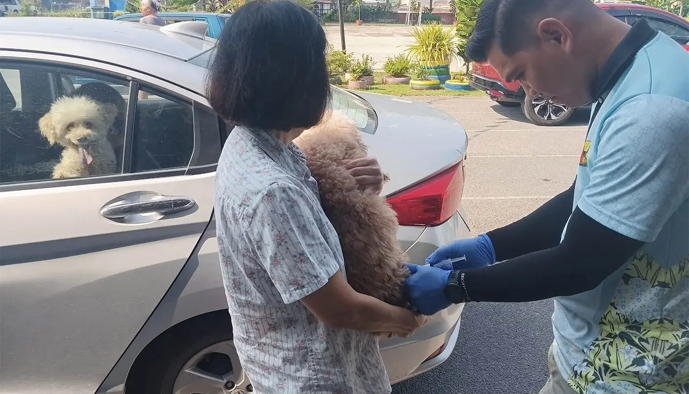 Padawan Holds Free Dog Licensing and Anti-Rabies Programme 1 Sarawak, Sarawak News, Kuching, Kuching News, Padawan, Padawan News, Rabies, Anti-Rabies Vaccination, Dog Licence, Microchipping, Pet Health, Animal Welfare, MPP
