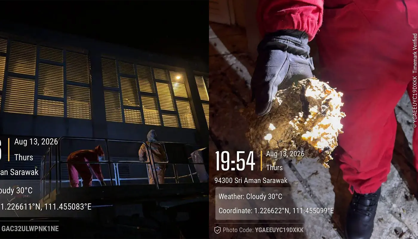 Sri Aman Firefighters Remove Wasp Nest From Hospital Building 1 Sarawak, Sarawak News, Sri Aman, Sri Aman News, Wasp Nest, Fire and Rescue, Sri Aman Hospital